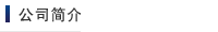 公司简介